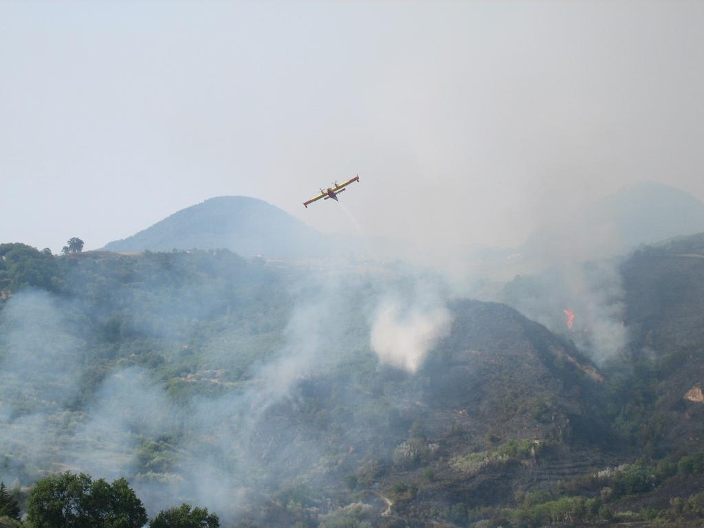 incendio aiello-lago 21 luglio 1.JPG